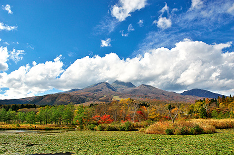 軽井沢（北佐久郡）
