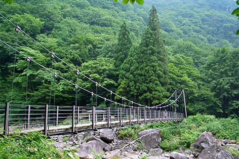 地獄谷野猿公苑（下高井郡）