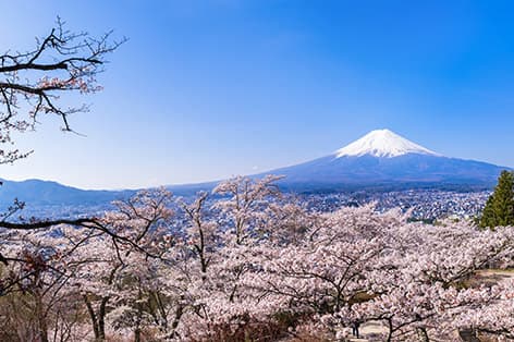 新倉山浅間公園（富士吉田市）