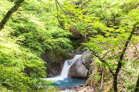 西沢渓谷（山梨市）