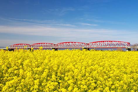 久留米・原鶴・筑後川
