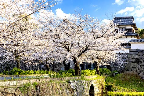 福岡城・舞鶴公園