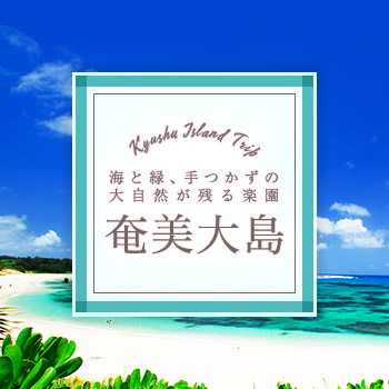 海と緑、手つかずの大自然が残る楽園 奄美大島