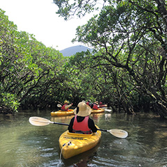 マングローブツアー（イメージ）
