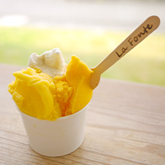 La Fonteジェラート（イメージ）