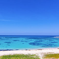 土盛海岸（イメージ）