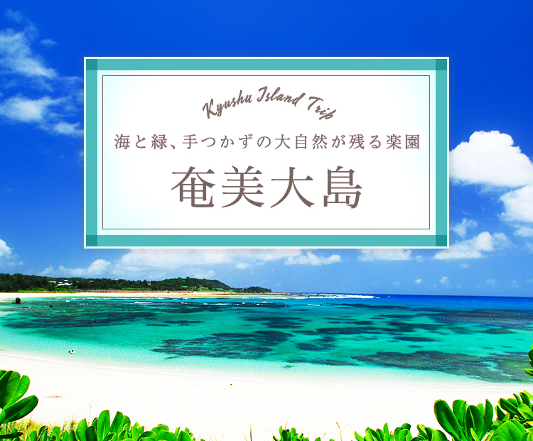 海と緑、手つかずの大自然が残る楽園 奄美大島