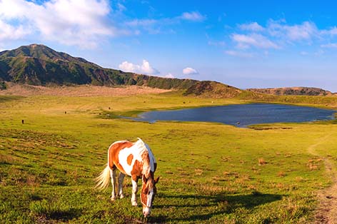 草千里（阿蘇）