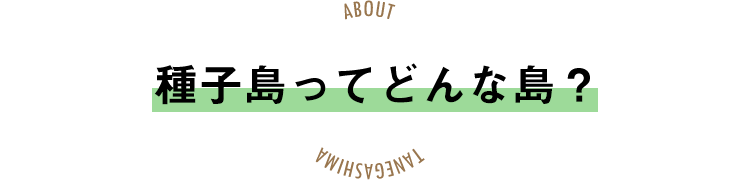種子島ってどんな島？