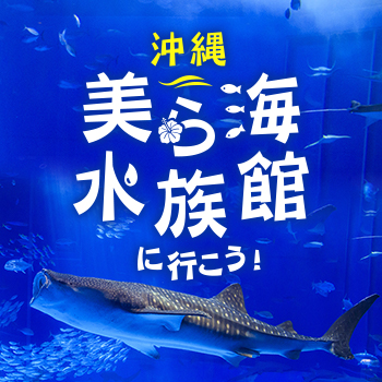 沖縄美ら海水族館に行こう！