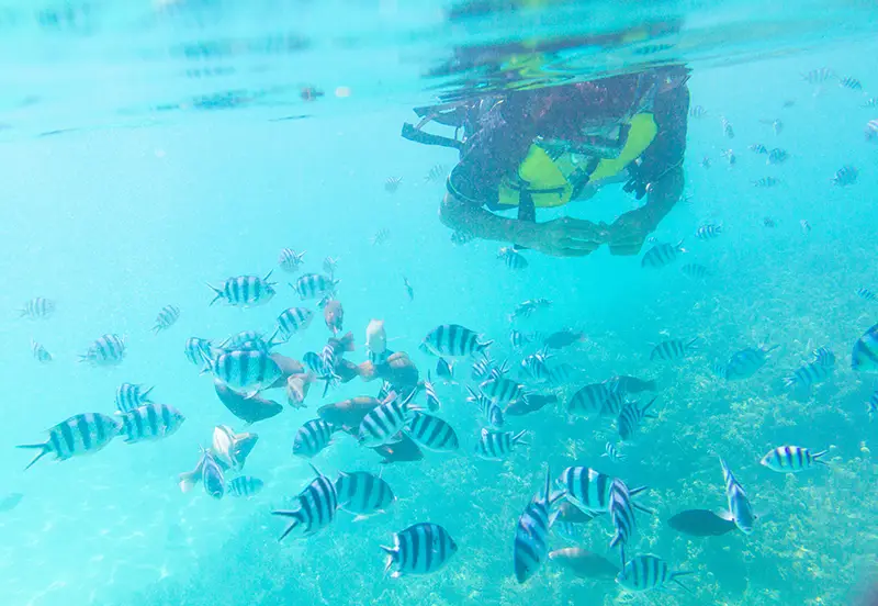 スキューバダイビング（イメージ）
