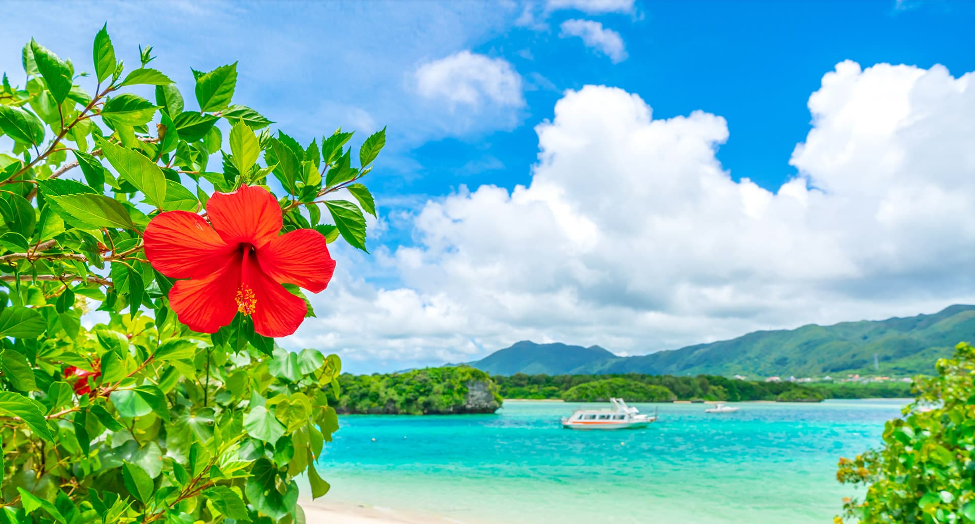 川平湾の風景