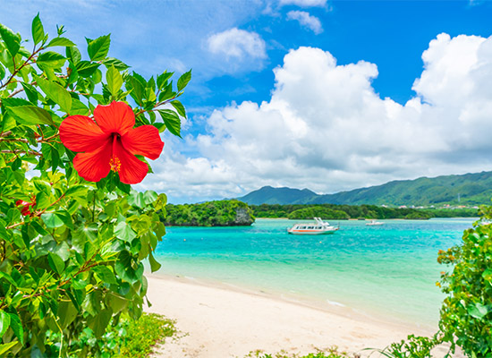 HISだけのオリジナル体験！大満喫沖縄【HIS国内旅行】