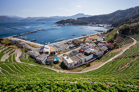 宇和島・八幡浜