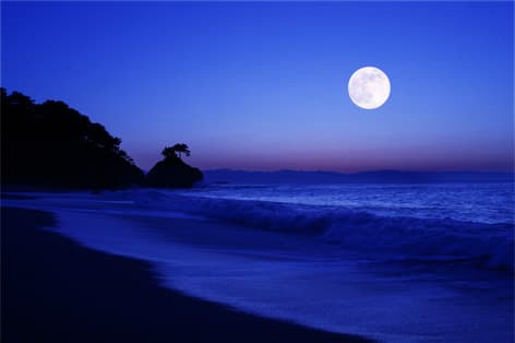 桂浜（高知市）