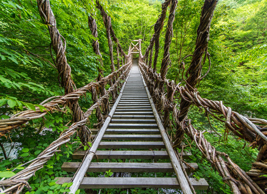 祖谷のかずら橋