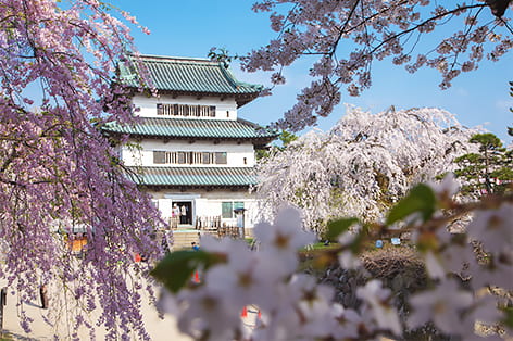弘前さくらまつり（弘前市）