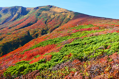 栗駒山（栗原市）