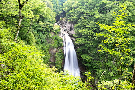 秋保大滝（仙台市）