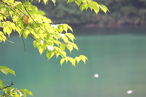 どっこ沼（山形市）