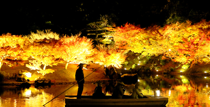 ライトアップ（イメージ） 