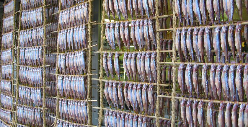 ししゃもすだれ干し（イメージ） 