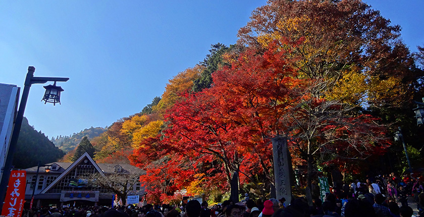 高尾山紅葉（イメージ）
