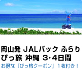 JAL�p�b�N �ӂ��҂��� ���� 3�4����