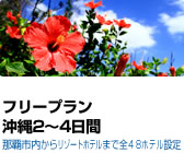 �t���[�v�����@����2�`4����