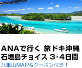 ANA�ōs�� ���h�L����Ί_���`���C�X 3�`4����