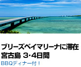 �u���[�Y�x�C�}���[�i�ɑ؍� �{�Ó� 3�E4����