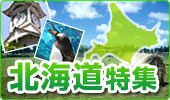 �k�C�����W