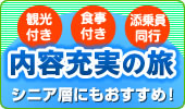���e�[���̗�