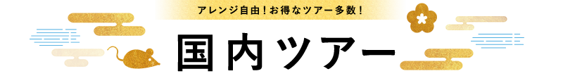 内容充実でコスパ良し！アレンジも自由自在！国内ツアー