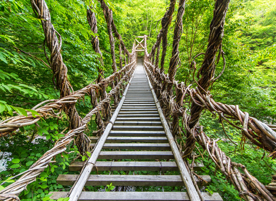 祖谷のかずら橋（国指定重要有形民俗文化財）