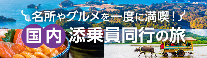 国内添乗員同行の旅