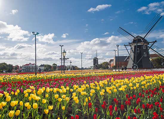 1DAYパスポート付!彩りと輝きに満ち溢れた花と光の街を満喫♪【関西発】人気オフィシャルホテルに滞在!ハウステンボス3日間