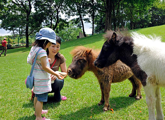 グルメ・観光など使えるとびっきりクーポン付&毎朝食付♪【関西発】九州であそぼ3日間