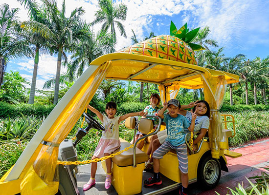 観光などに使えるLeaLeaクーポン付!那覇市内・リゾートホテルからチョイス!【関西発】ANA・ソラシドエア利用!沖縄であそぼ3日間