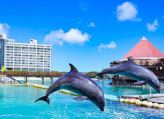 毎朝食&アクティビティがおトクに楽しめるClub Savvy付!【関西発】イルカが暮らすデラックスリゾートに滞在!沖縄3日間