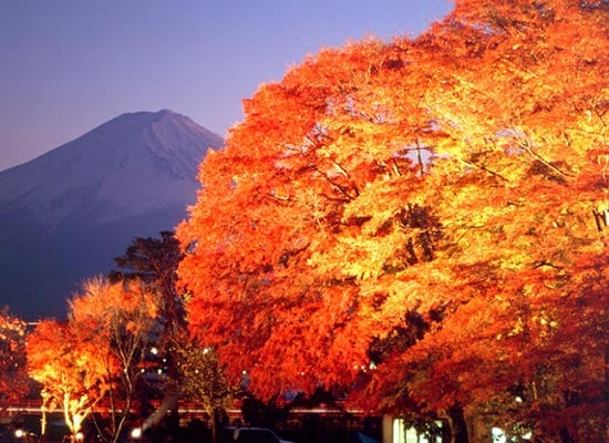 月夜野工房 ランプ 紅葉 もみじ クラフト 絶対行くべき日本の世界遺産