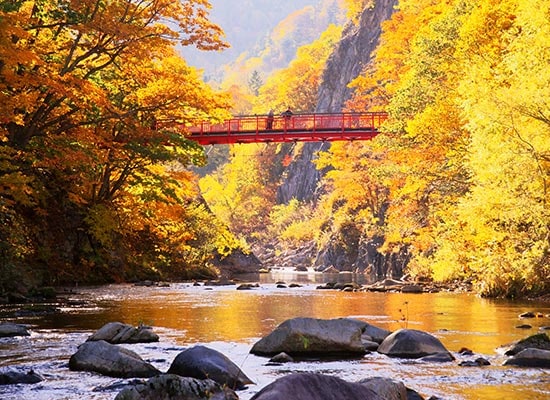 札幌（イメージ）