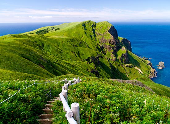 北海道旅行 北海道ツアー格安予約 His 国内旅行 首都圏発