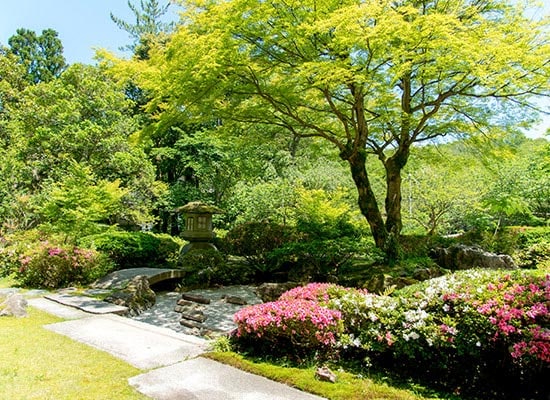 庭園（イメージ）