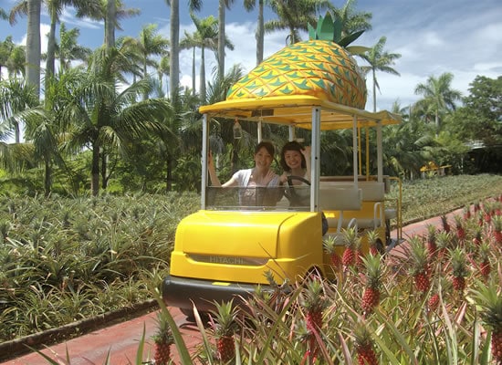 ナゴパイナップルパーク（イメージ）