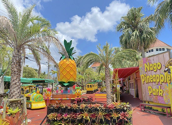ナゴパイナップルパーク（イメージ）