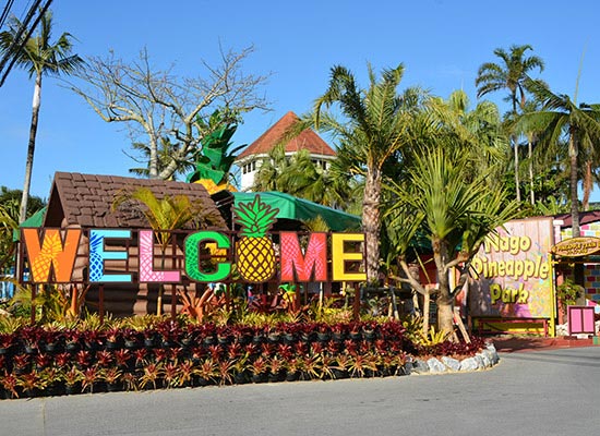 ナゴパイナップルパーク（イメージ）