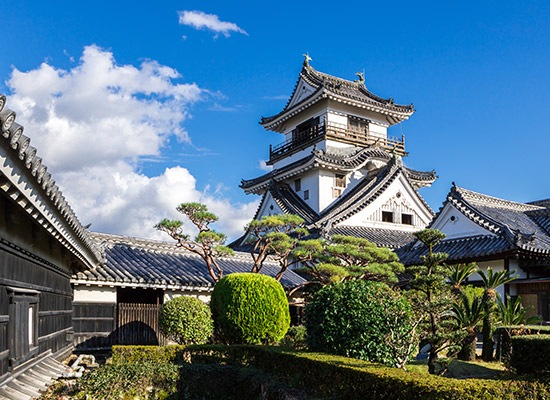 高知城と桜＿イメージ