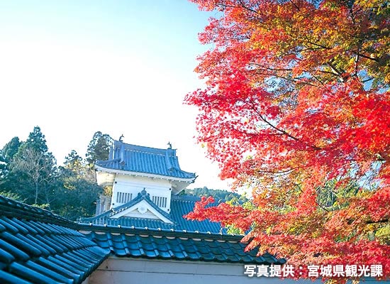 仙台（イメージ）