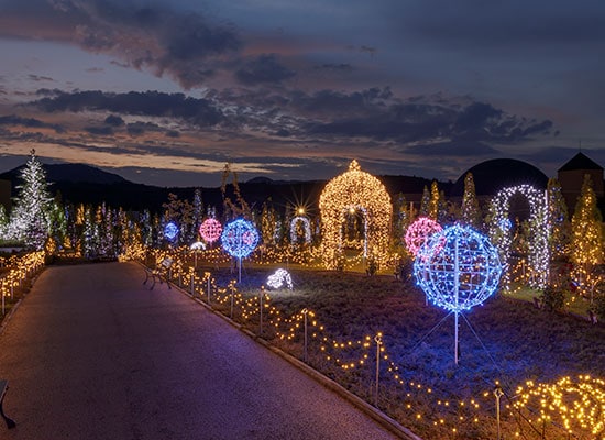 毎日点灯 イルミネーションガーデン（イメージ）